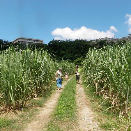Okinawa Hostel Yanbaru Fukuro Nago Exteriér fotografie