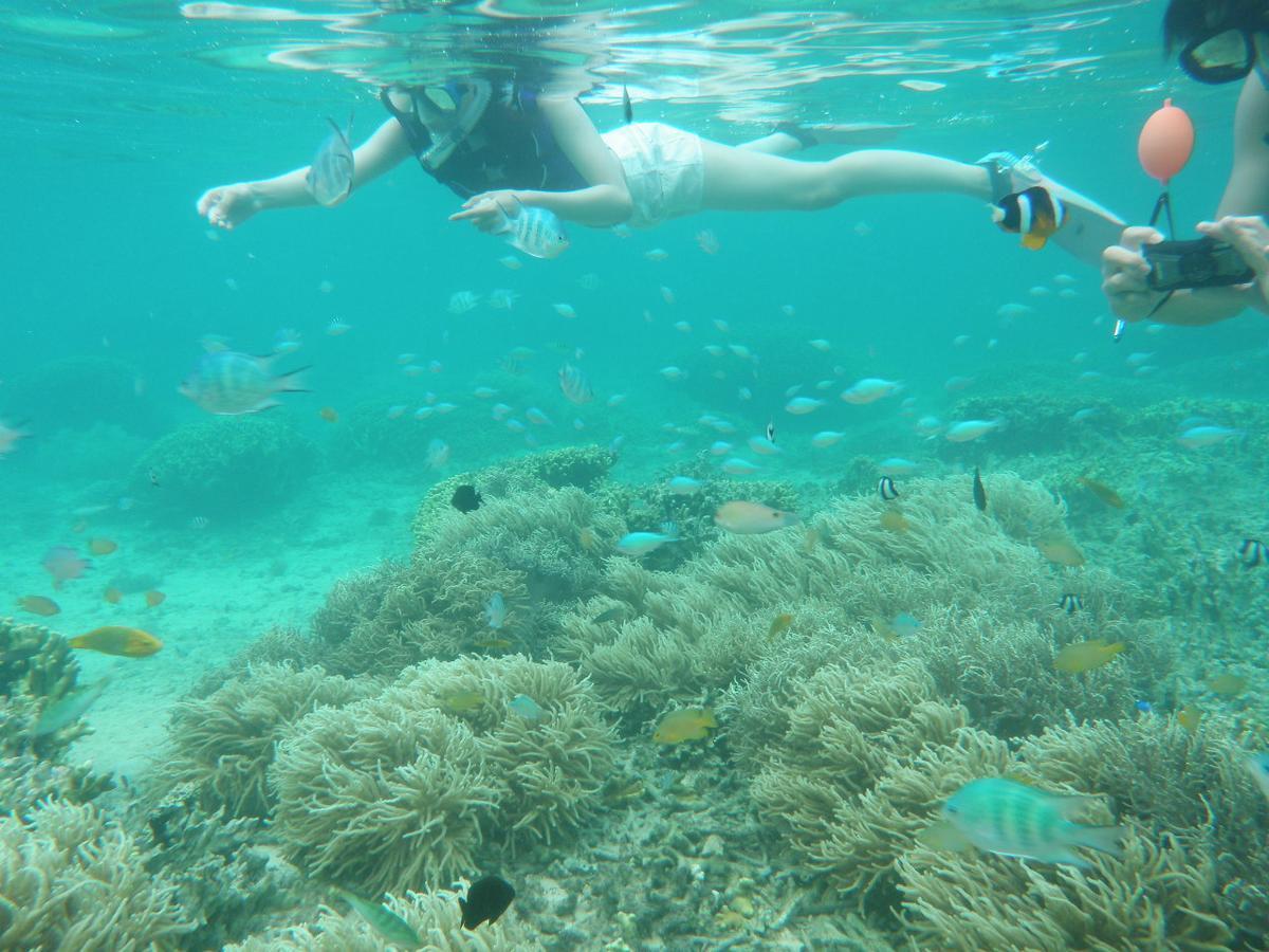 Okinawa Hostel Yanbaru Fukuro Nago Exteriér fotografie